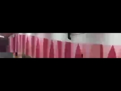 Parksystem 4800bps/100m des Fahrzeug-LPR für Straßen-Sicherheit